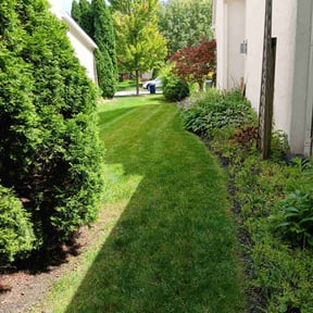 yard service by Bennett Lawn Care reviewed on November 22, 2025