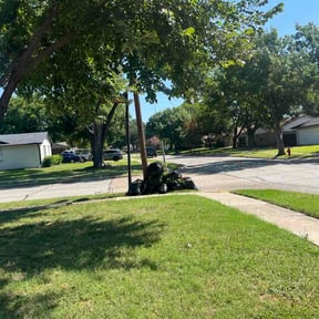 Bush Trimming by DClandscapeing reviewed on July 7, 2026