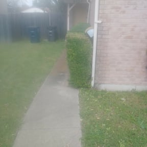 Bush Trimming by Grass Masters reviewed on August 15, 2025