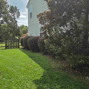 Bush Trimming by TC's Outdoor Services, LLC reviewed on August 10, 2025