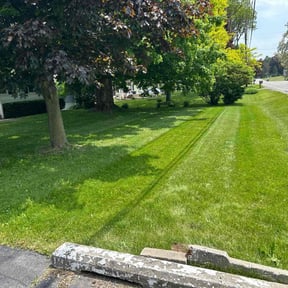 landscaping services by TAKE OVER LANDSCAPING&SNOW reviewed on August 18, 2025