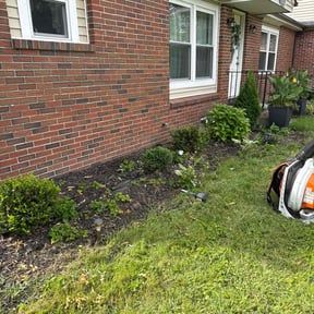 Flower Bed Weeding by Ramon Moreno reviewed on October 19, 2025