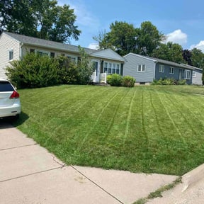 gardening service by We Can Do It Landscaping and Handyman Services LLC reviewed on August 15, 2025