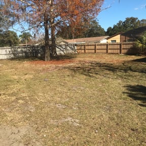 Leaf Removal by Clean Kutz reviewed on October 3, 2025