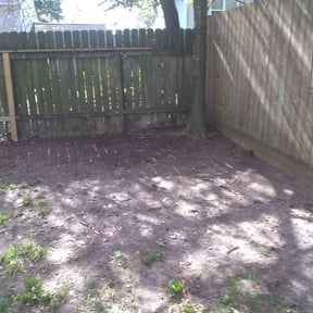 Leaf Removal by Mow-Mentous Lawn Service reviewed on September 22, 2025