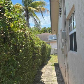 Bush Trimming by Manuel landscaping reviewed on June 22, 2026