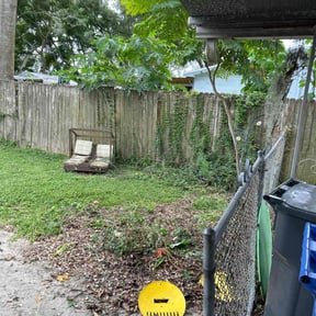 Bush Trimming by JFM LANDSCAPE SERVICE reviewed on June 1, 2025