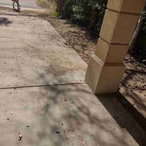 Leaf Removal by Ryan Lawn Care reviewed on September 19, 2025