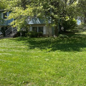 turf care by Independent Contractor reviewed on May 2, 2024