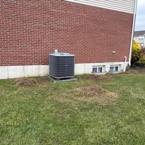 Bush Trimming by Andersen landscaping &amp; Design reviewed on November 18, 2025