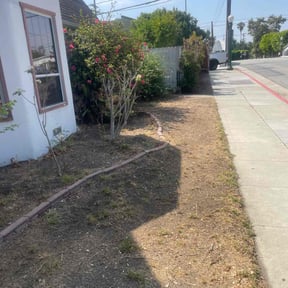 Leaf Removal by Perez Landscaping reviewed on September 9, 2025