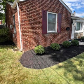 Mulching by Main crew reviewed on August 21, 2025
