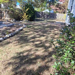 Leaf Removal by Total Enterprise Consulting Group LLC reviewed on November 10, 2025