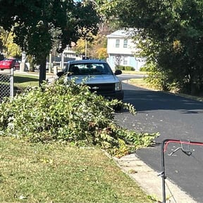 Bush Trimming by J.W.G. mowing and lanscaping reviewed on August 18, 2025