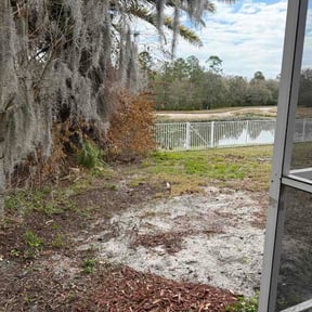 Leaf Removal by Valencia Landscaping reviewed on March 5, 2026