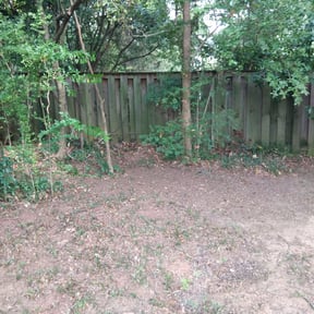 Leaf Removal by Just Handy reviewed on August 14, 2025