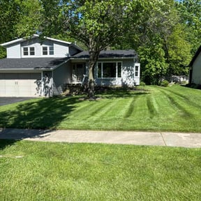 yard care by Yanez Brothers Landscaping reviewed on August 19, 2025