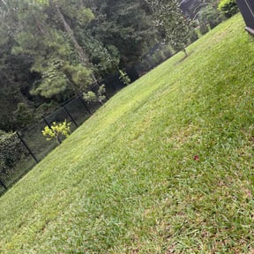 lawn care by Bo's lawn care reviewed on April 2, 2024