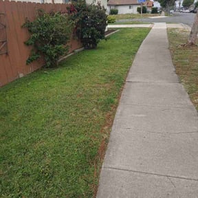 Long Grass Cleanup by Verde Garden LLC. reviewed on March 20, 2024
