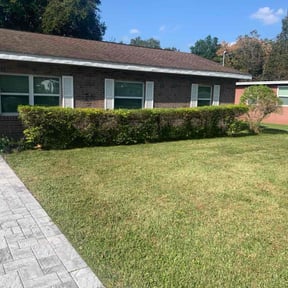 Bush Trimming by 100% Landcare reviewed on November 25, 2025