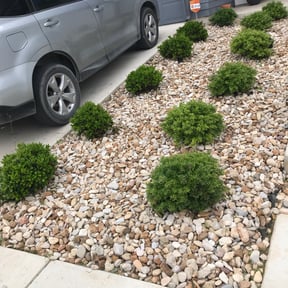 Flower Bed Weeding by Green Tex lawn service reviewed on August 14, 2025