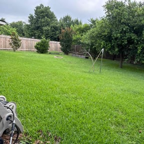 yard maintenance by Agape Lawn Service reviewed on August 21, 2025