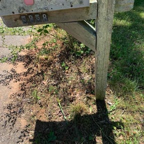 Bush Trimming by Keyes Lawn Care reviewed on August 21, 2025