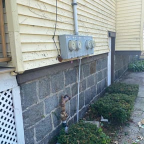 Bush Trimming by GT Custom Renovations LLC reviewed on April 10, 2024