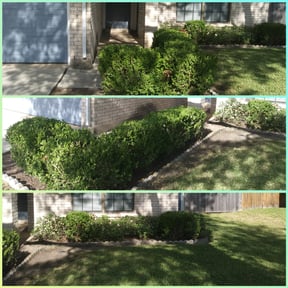 Bush Trimming by Flatt's Lawn Enforcement reviewed on August 16, 2025