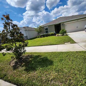 yard maintenance by Reyes and sons construction reviewed on August 21, 2025