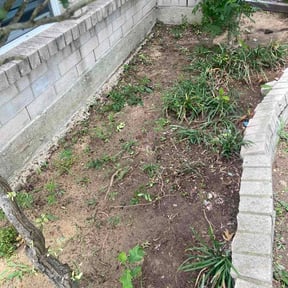Flower Bed Weeding by Problem Gone reviewed on May 23, 2026