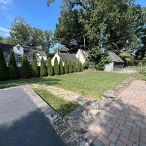 landscaping by Cleanspot reviewed on January 20, 2026