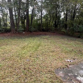 Leaf Removal by Top hawg lawn care reviewed on September 13, 2026