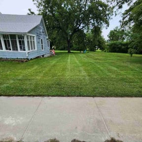 lawn service by Curry's mowing reviewed on September 11, 2023