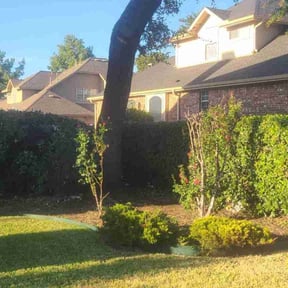 Bush Trimming by Hitman Lawn Care LLC reviewed on August 19, 2025