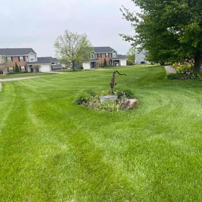 turf maintenance by Stephen Reynolds reviewed on May 2, 2025