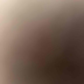 Bush Trimming by Pulgarcitos Lawns R&amp;R reviewed on October 18, 2025