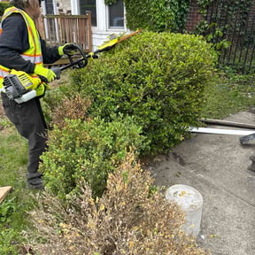 Bush Trimming by BBNA LLC reviewed on May 15, 2026