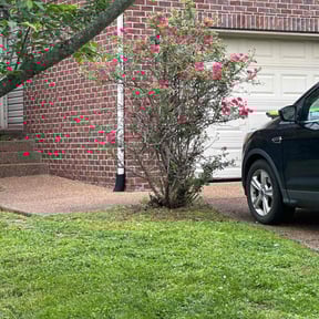 Bush Trimming by Hernandez Family Lawn reviewed on August 15, 2025