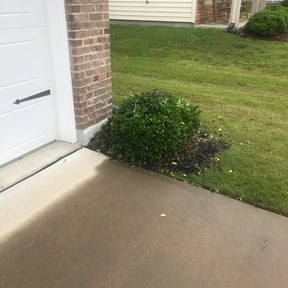 Bush Trimming by JP Landscape reviewed on August 14, 2025