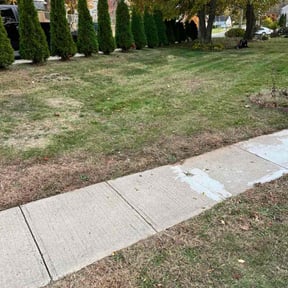 Leaf Removal by Christopher and Samantha Lawn Care reviewed on November 9, 2025