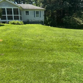 landscaping by Zeroslandscape reviewed on August 17, 2025