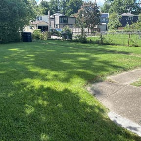 turf care by Nates LawnCare reviewed on March 4, 2024