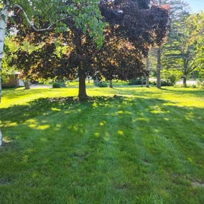 landscaping services by Nordic mowing reviewed on August 15, 2025