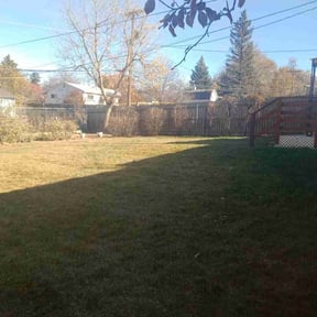 Leaf Removal by J's Lawn Care reviewed on November 19, 2025