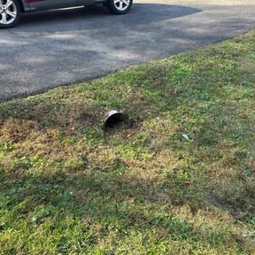 Leaf Removal by Gutter Brothaz reviewed on May 26, 2026