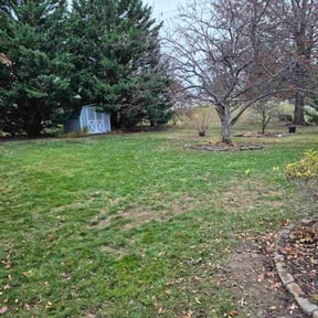 Leaf Removal by Ruben's Landscaping reviewed on November 19, 2025