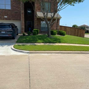 yard maintenance by Birdsong Bee Company Lawn Service reviewed on August 17, 2025