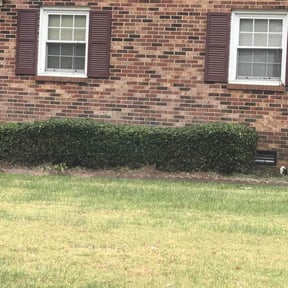 Bush Trimming by Carrate Landscaping LLC reviewed on August 17, 2025