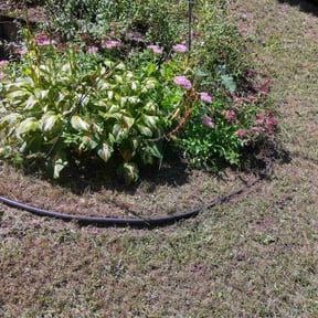 Flower Bed Weeding by Demiteria Casey Mattox reviewed on November 19, 2025